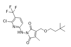 Felezonexor;CBS9106;SL801